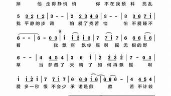 飘摇歌词_飘摇歌词完整版