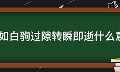 时间如白驹过隙_时间如白驹过隙是什么意思