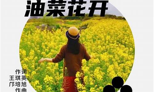 原创歌词油菜花花开_油菜花开歌曲歌词