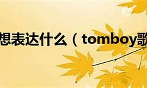 tomboy歌词想表达什么_tomboy歌词lisa