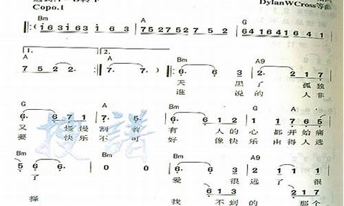 你听寂寞在唱歌歌词完整版_你听寂寞在唱歌歌词