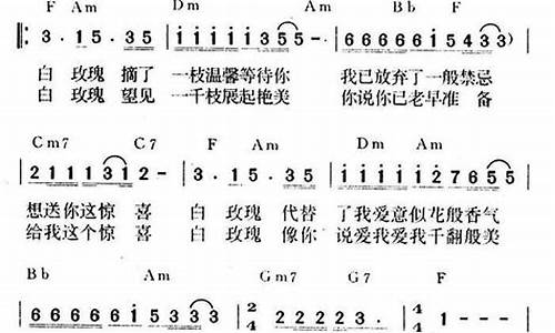 白玫瑰 歌词_白玫瑰歌词是什么意思