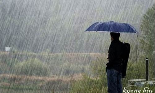 人在风里人在雨里人在爱的岁月里漂流_无奈人在风里人在雨里人在爱的岁月里漂流